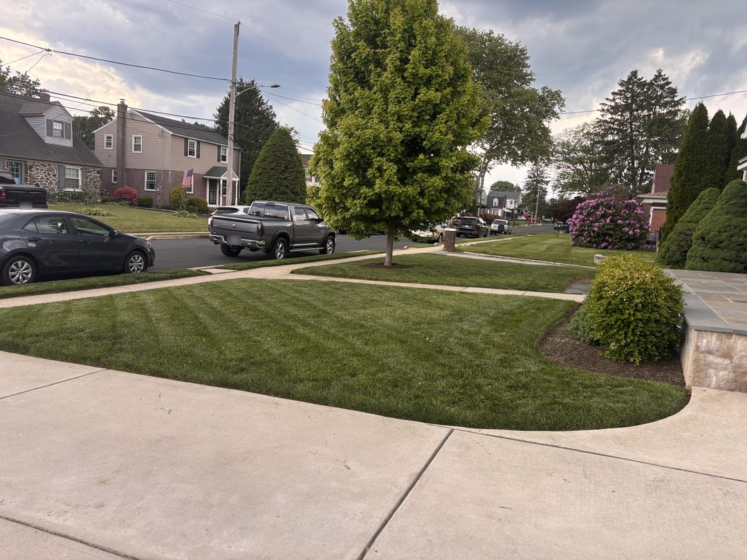 Striped front lawn mowed by NG Mowing, with a clean curved edge along the walkway