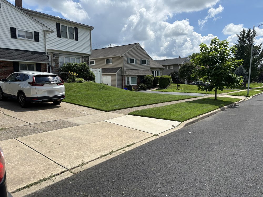 Sloped front lawn and curb strip with sharp edges along the sidewalk